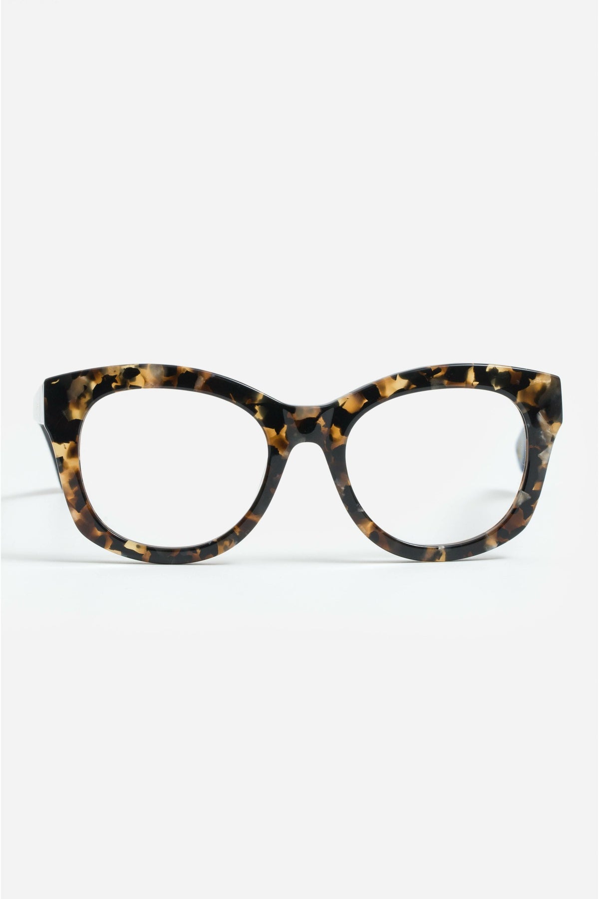 Florence Readers Tortoise