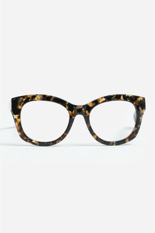 Florence Readers Tortoise