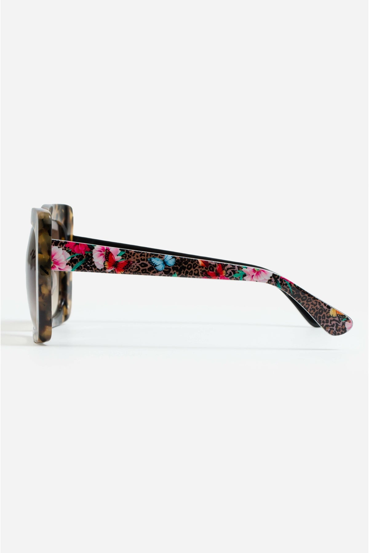Florence Readers Tortoise